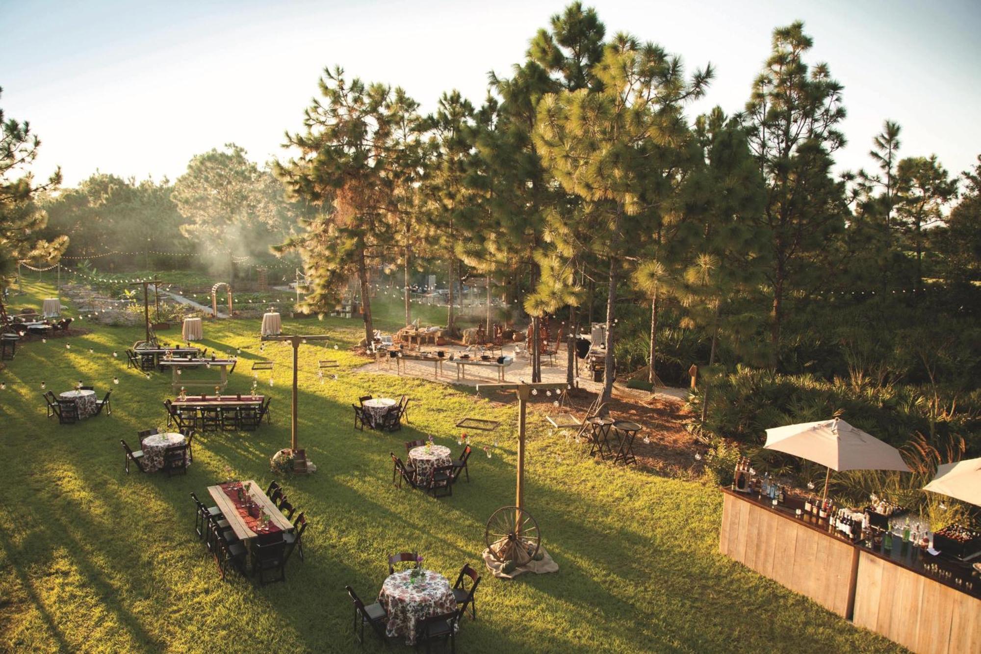 Jw Marriott Orlando Grande Lakes Williamsburg Экстерьер фото