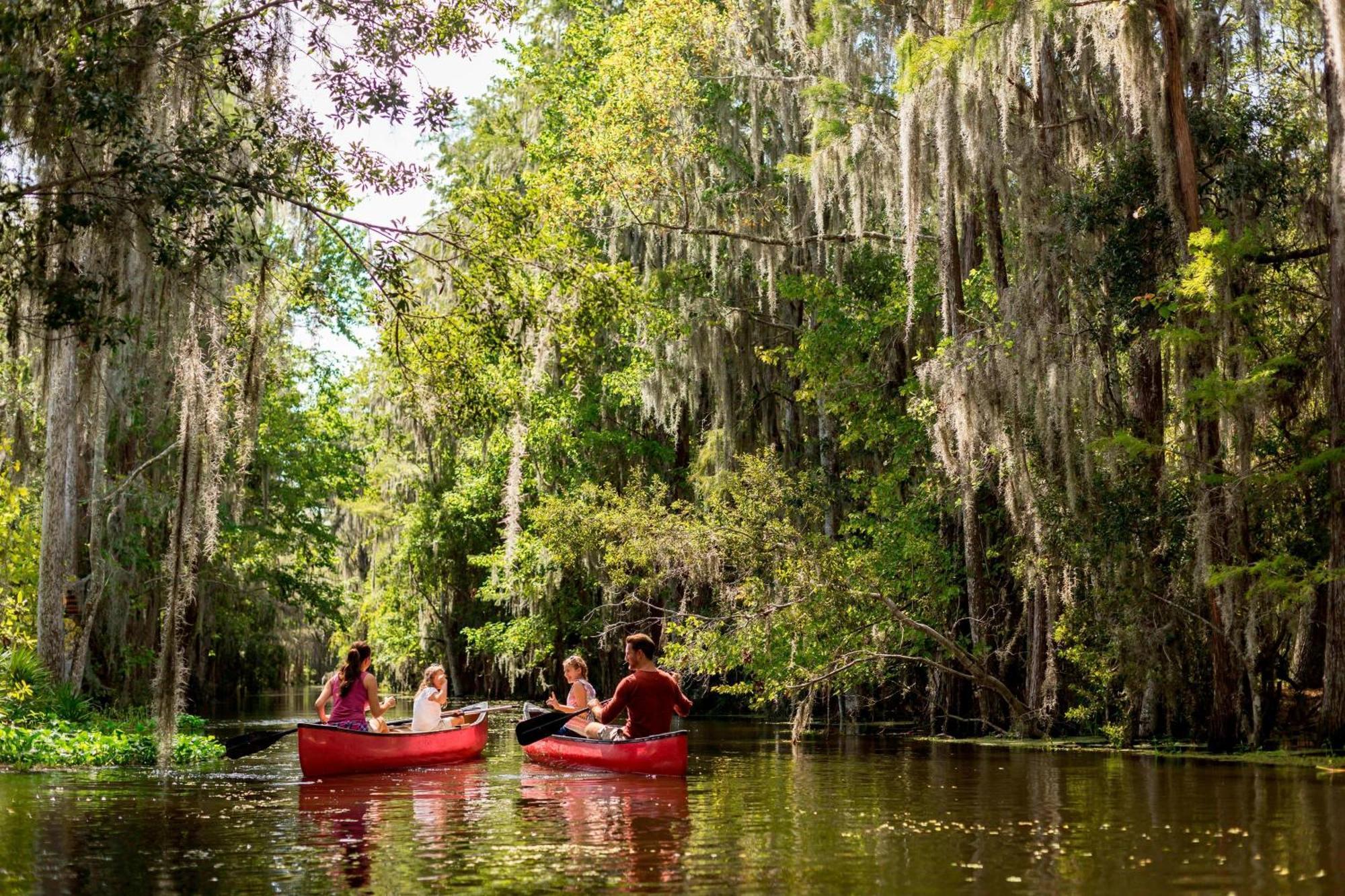 Jw Marriott Orlando Grande Lakes Williamsburg Экстерьер фото