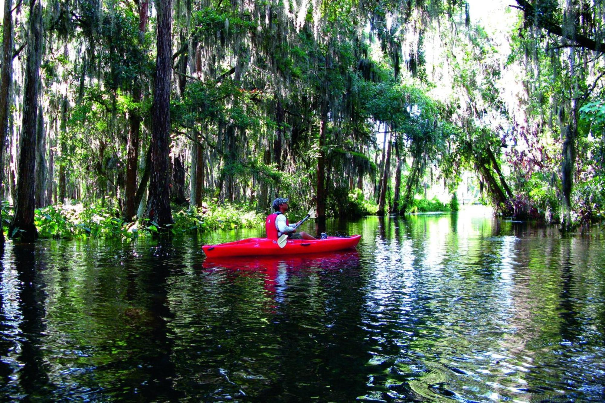 Jw Marriott Orlando Grande Lakes Williamsburg Экстерьер фото
